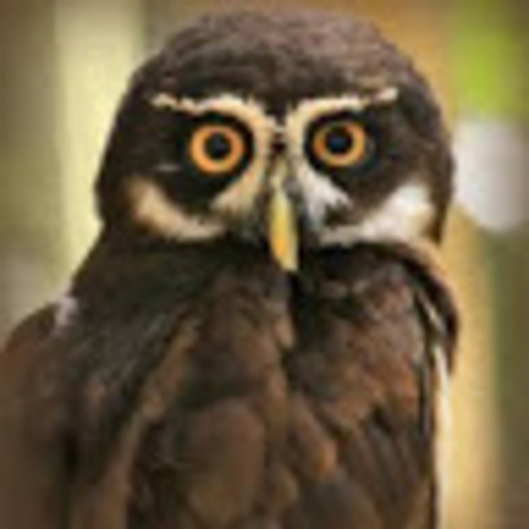 Meet your Posher, Kate - Picture 1 of 1